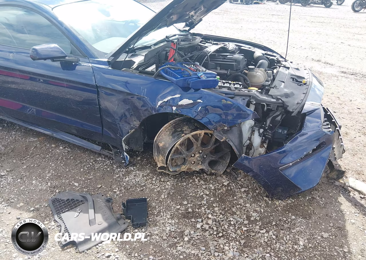 2019 Ford Mustang Ecoboost VIN:1FA6P8TH7K5174293 - 6