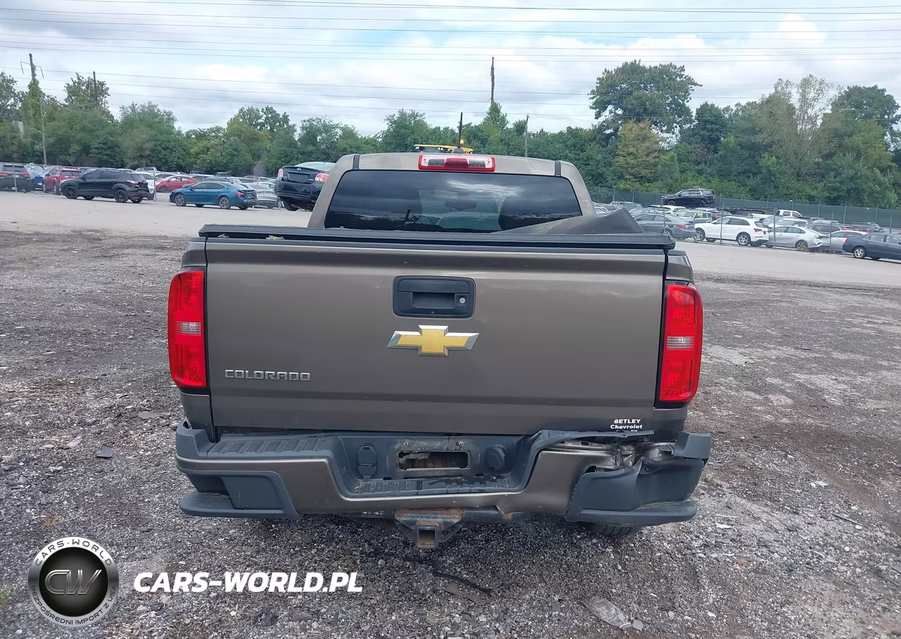 2015 Chevrolet Colorado Wt VIN:1GCGTAE33F1162626 - 16