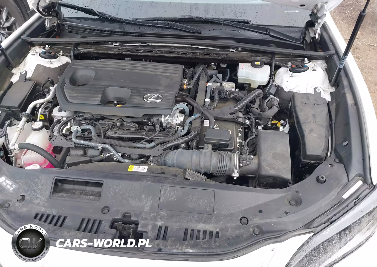 2023 Lexus Es 300H Luxury VIN:58AEA1C18PU029377 - 10
