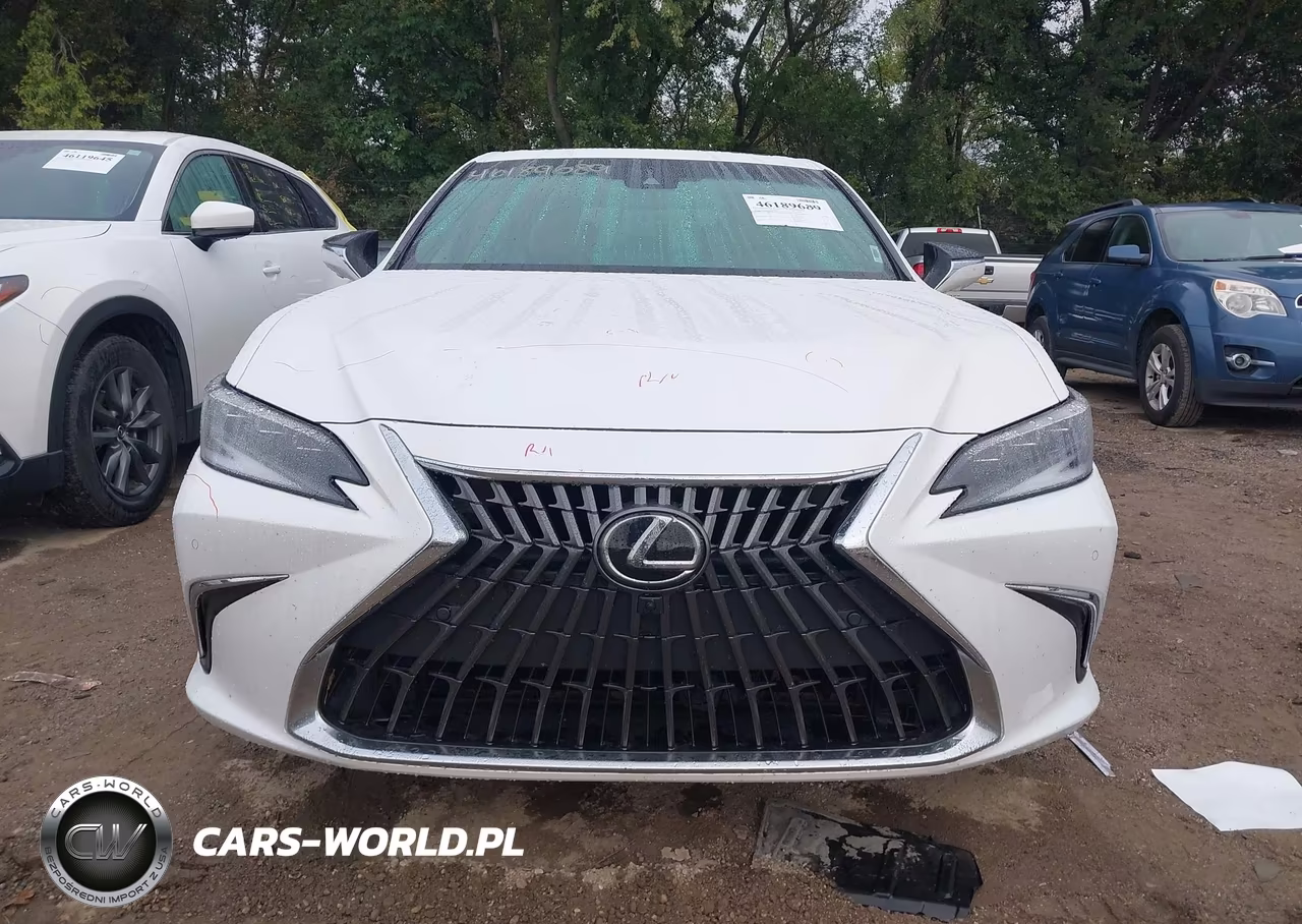 2023 Lexus Es 300H Luxury VIN:58AEA1C18PU029377 - 12