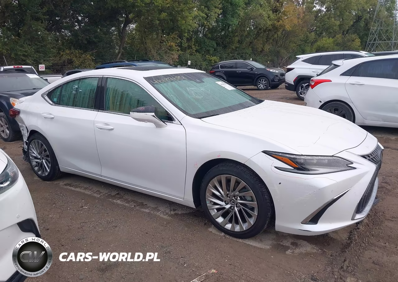 2023 Lexus Es 300H Luxury VIN:58AEA1C18PU029377 - 13