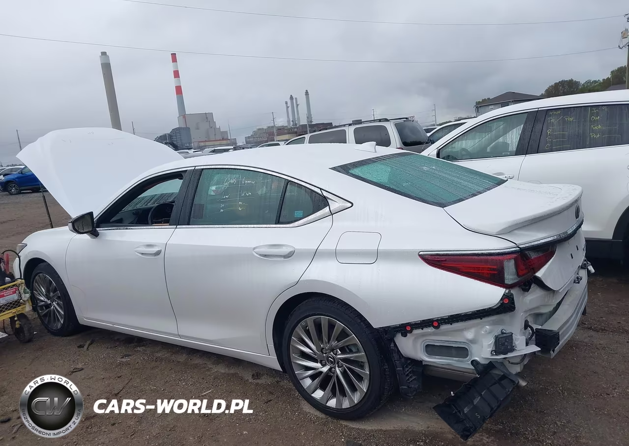 2023 Lexus Es 300H Luxury VIN:58AEA1C18PU029377 - 14