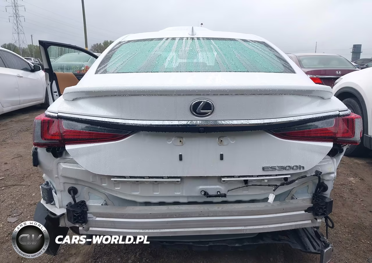 2023 Lexus Es 300H Luxury VIN:58AEA1C18PU029377 - 16