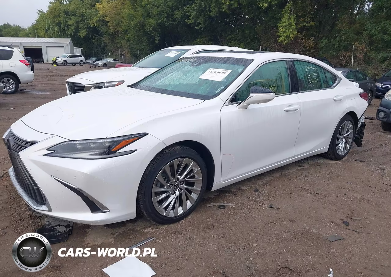 2023 Lexus Es 300H Luxury VIN:58AEA1C18PU029377 - 2
