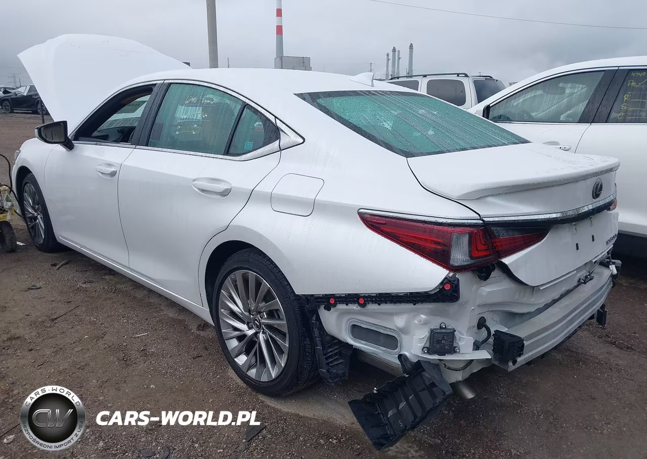 2023 Lexus Es 300H Luxury VIN:58AEA1C18PU029377 - 3