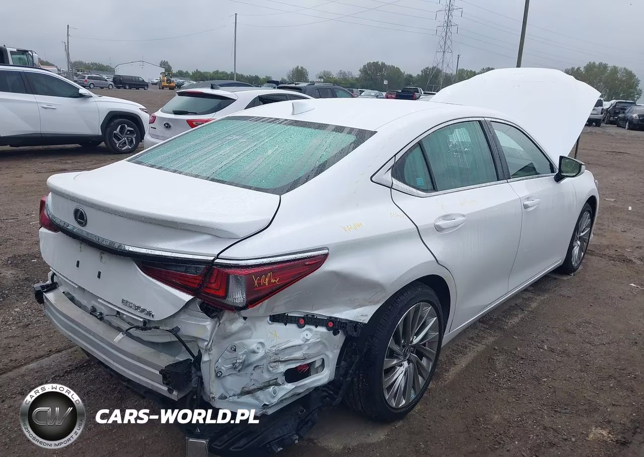 2023 Lexus Es 300H Luxury VIN:58AEA1C18PU029377 - 4