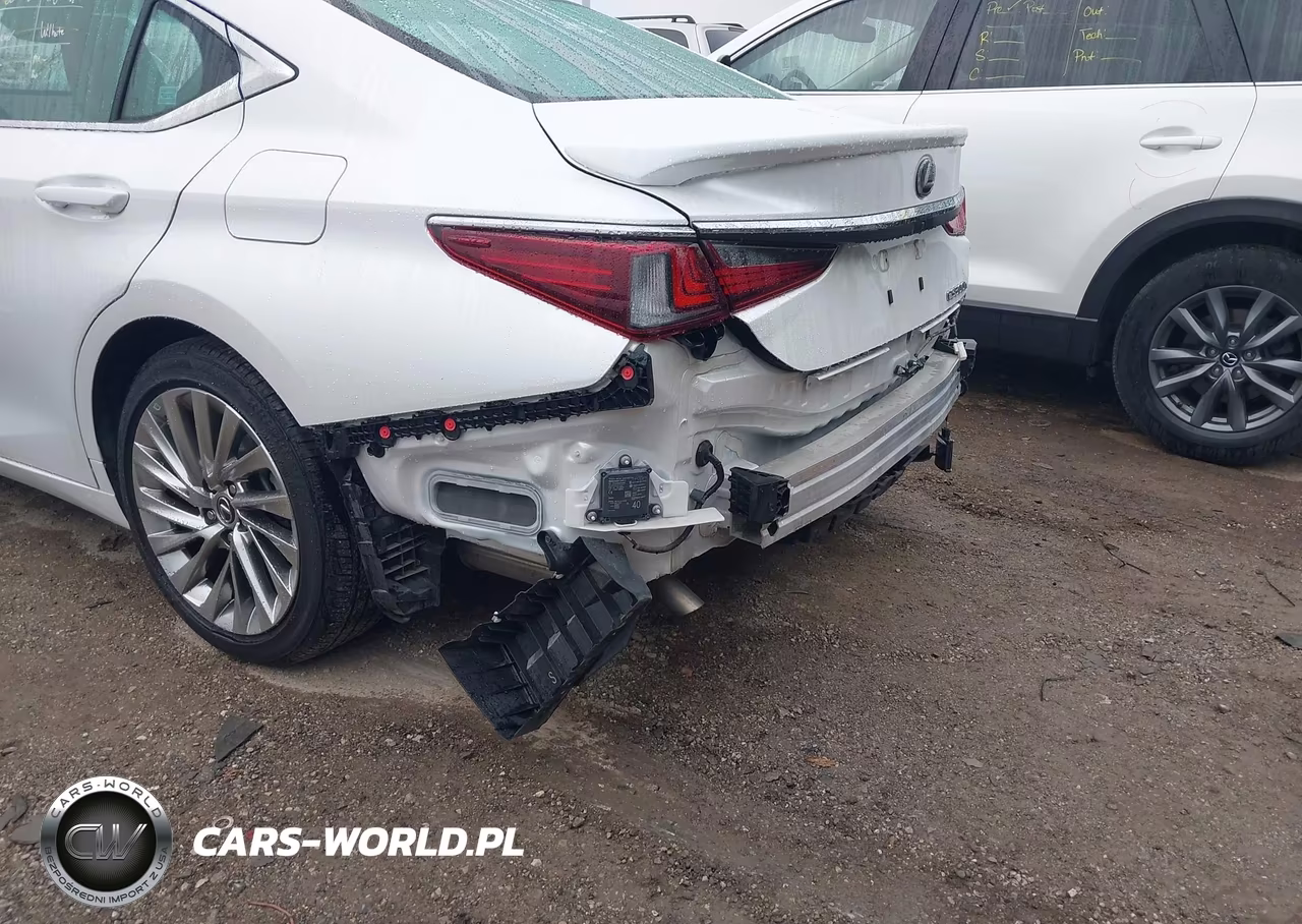 2023 Lexus Es 300H Luxury VIN:58AEA1C18PU029377 - 6