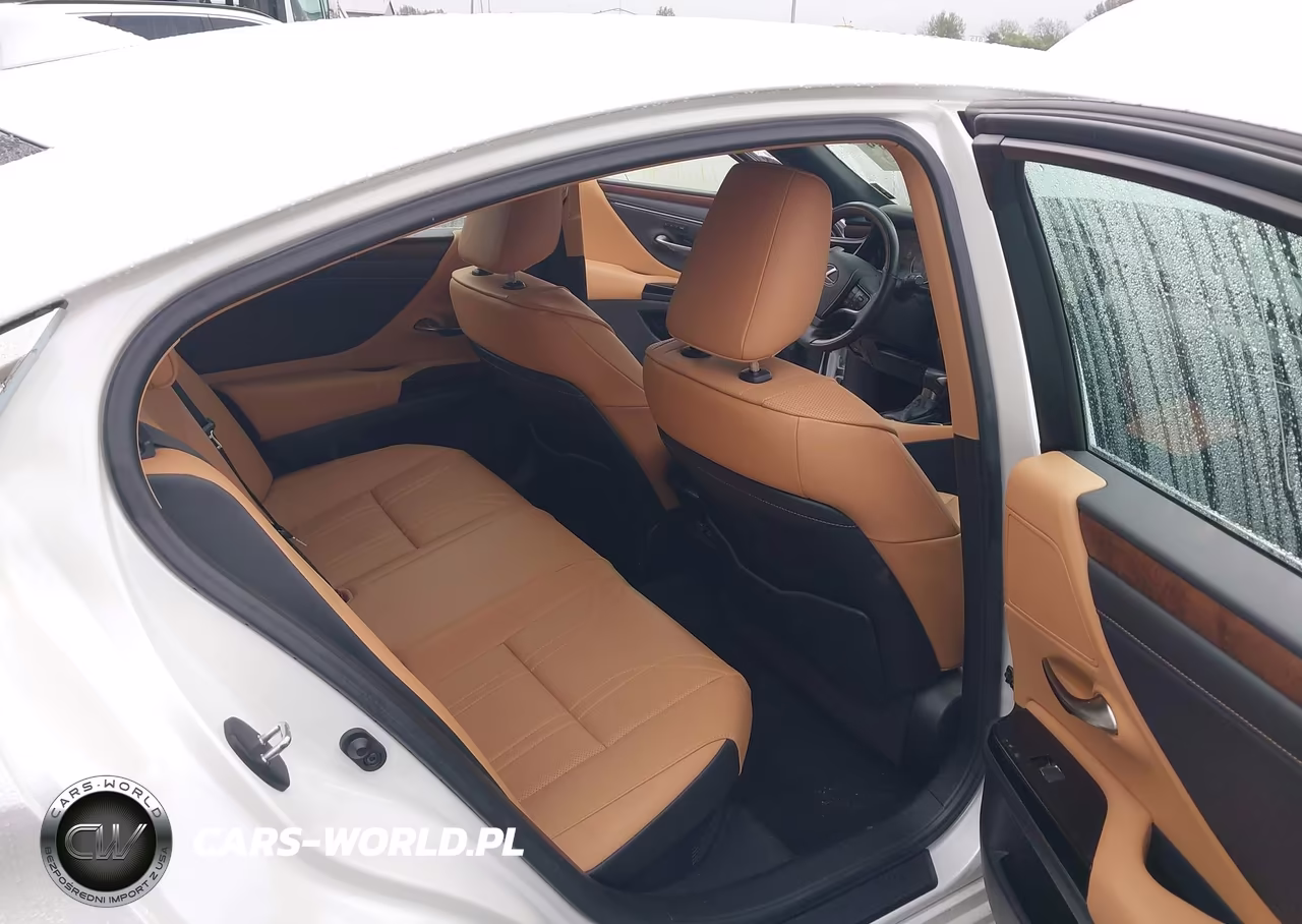 2023 Lexus Es 300H Luxury VIN:58AEA1C18PU029377 - 8