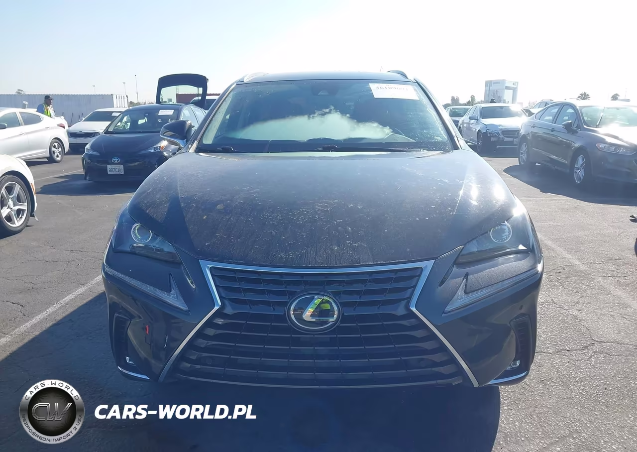 2021 Lexus Nx 300 VIN:JTJGARDZ9M2240485 - 13