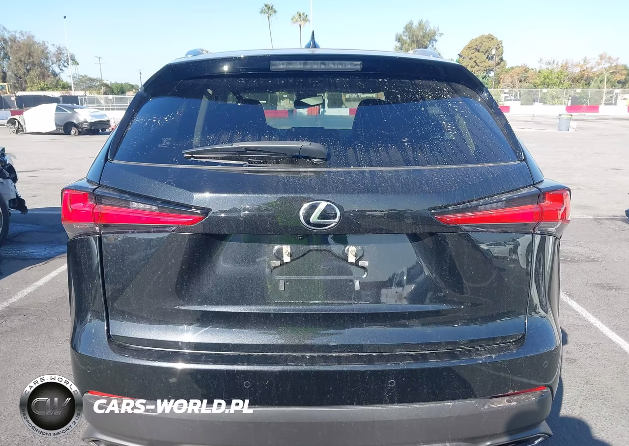 2021 Lexus Nx 300 VIN:JTJGARDZ9M2240485 - 17