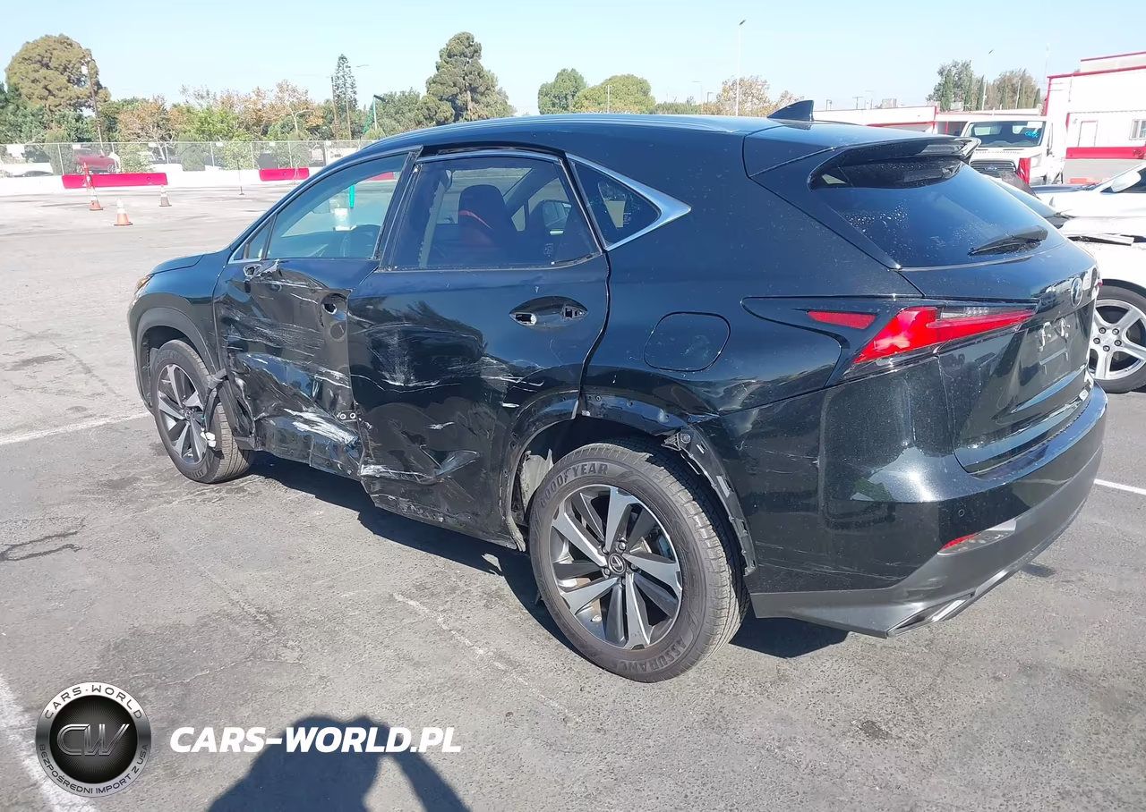 2021 Lexus Nx 300 VIN:JTJGARDZ9M2240485 - 3