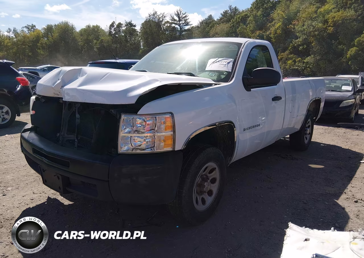 2013 Chevrolet Silverado 1500 Work Truck VIN:1GCNCPEX0DZ188774 - 2