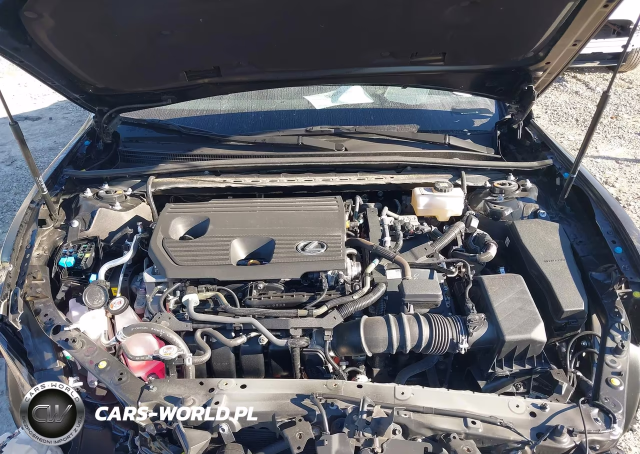 2025 Lexus Es 300H F Sport Design VIN:58ADA1C14SU066544 - 10