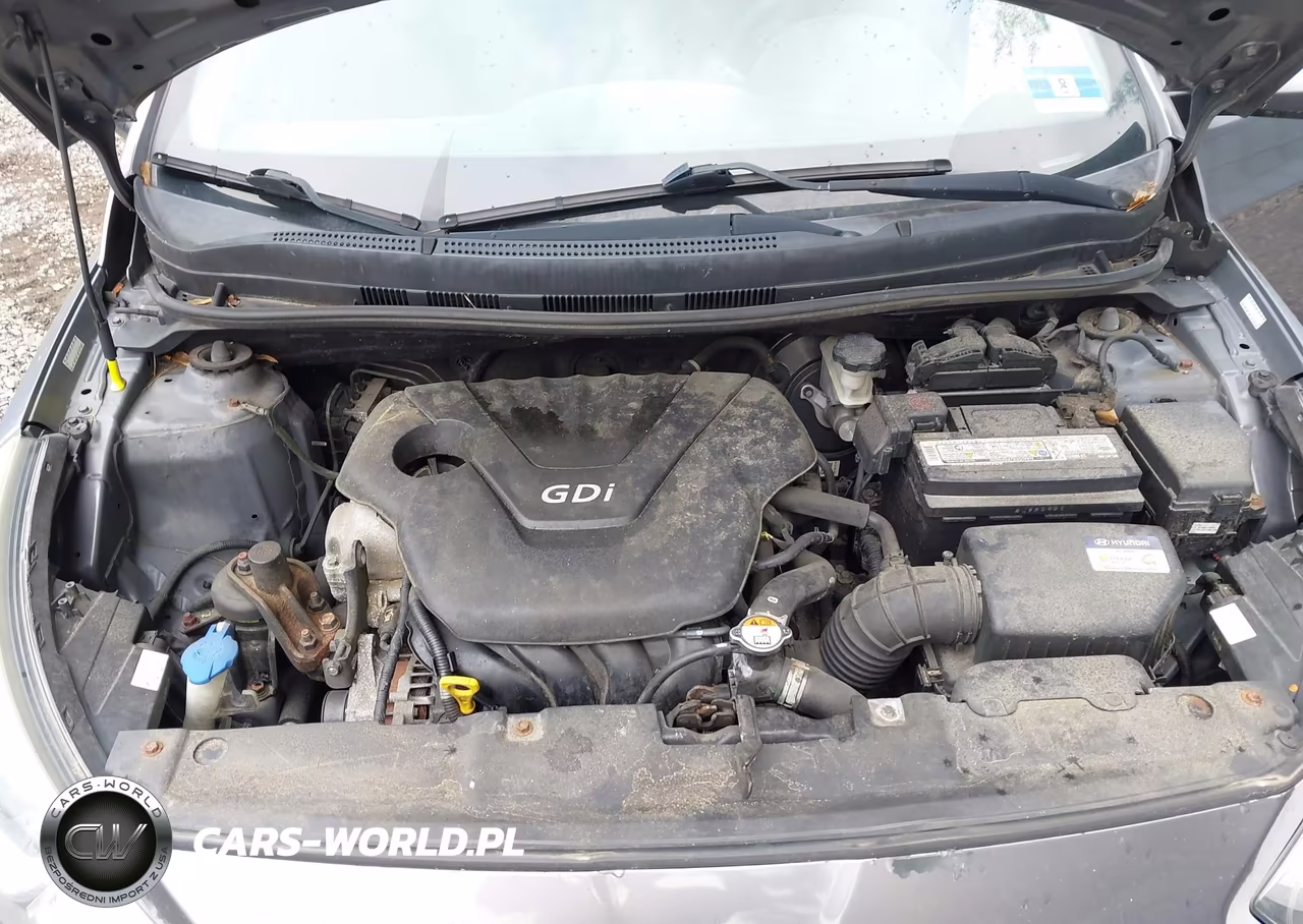 2016 Hyundai Accent Se VIN:KMHCT4AE9GU067863 - 10