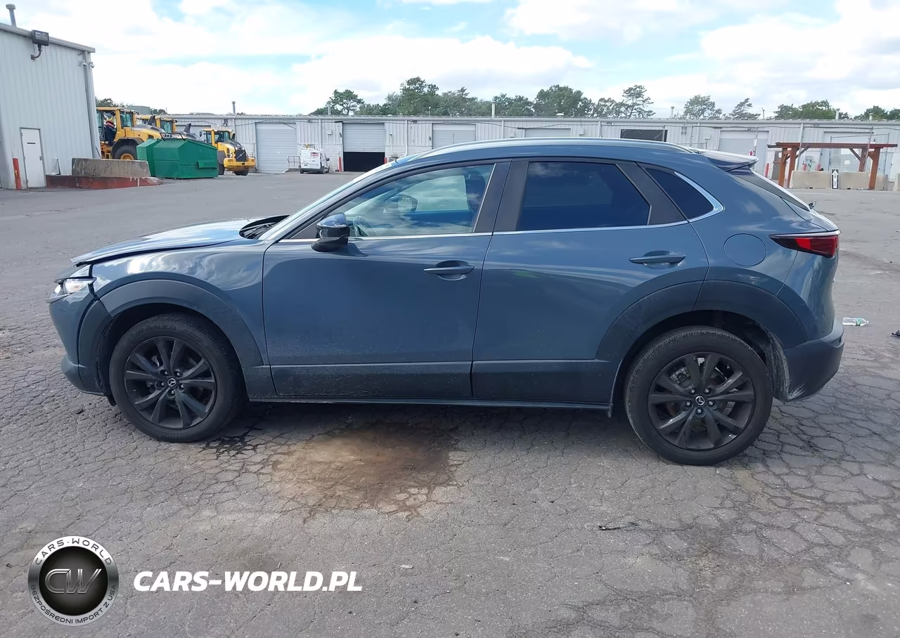2023 Mazda Cx-30 2.5 S Carbon Edition VIN:3MVDMBCM6PM500492 - 15