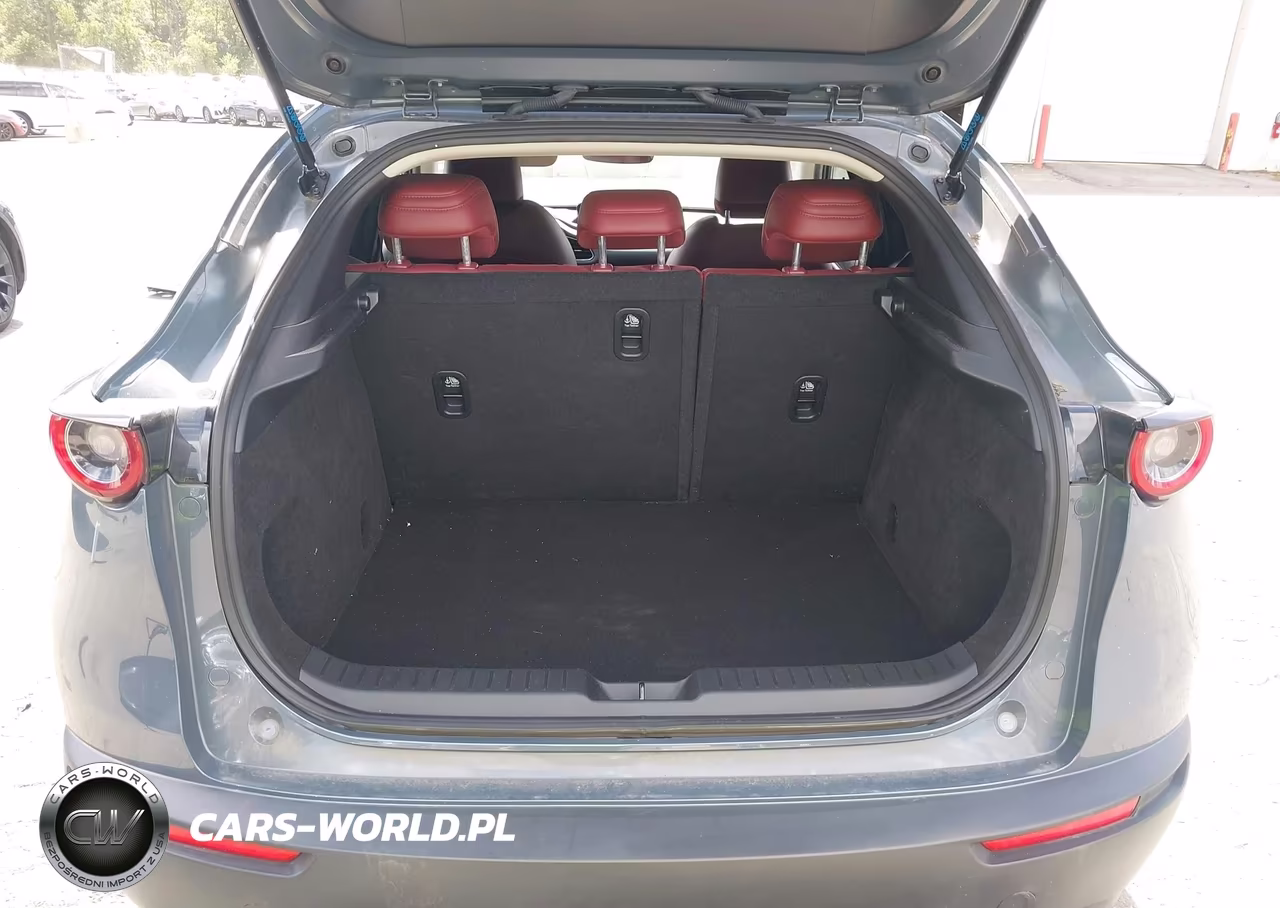 2023 Mazda Cx-30 2.5 S Carbon Edition VIN:3MVDMBCM6PM500492 - 20