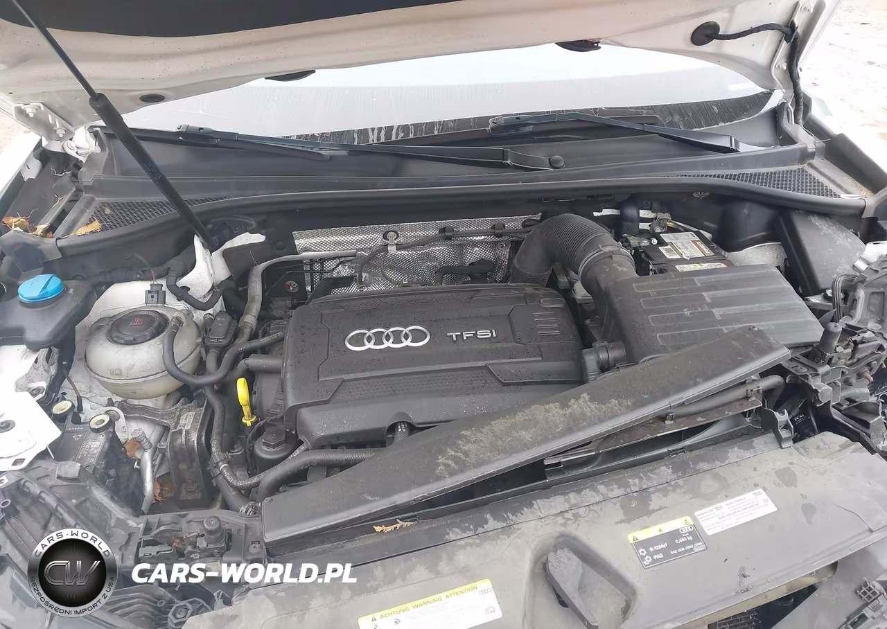 2019 Audi Q3 2.0T Premium VIN:WA1AECF35K1079150 - 10