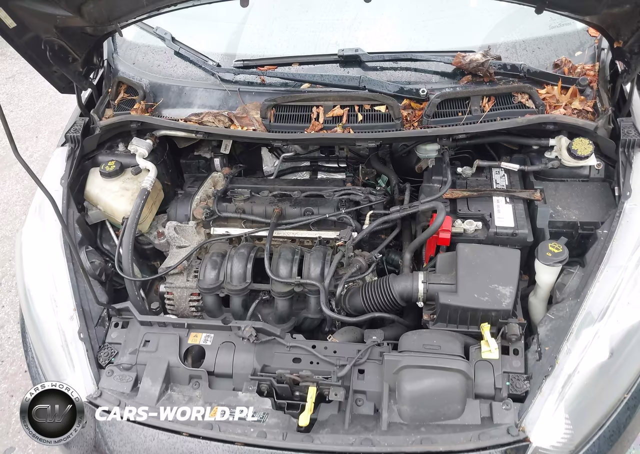 2014 Ford Fiesta Se VIN:3FADP4BJ4EM162797 - 10