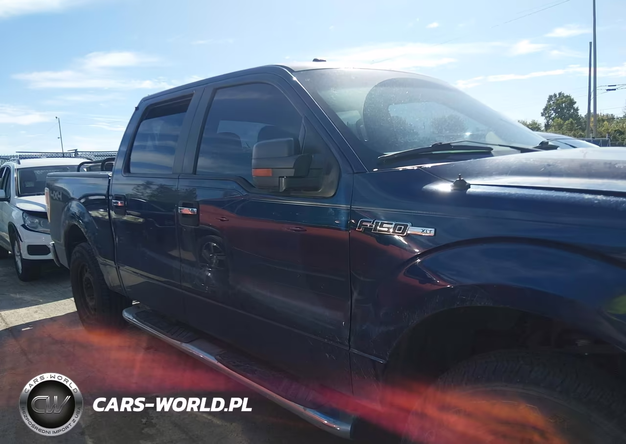 2011 Ford F-150 Xlt VIN:1FTFW1EF3BFD23972 - 12