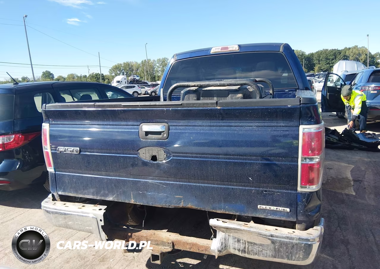 2011 Ford F-150 Xlt VIN:1FTFW1EF3BFD23972 - 15