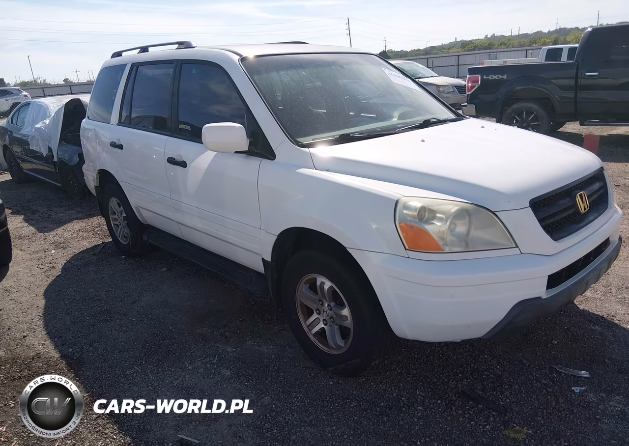 2005 Honda Pilot Ex VIN:2HKYF18485H556307 - 1