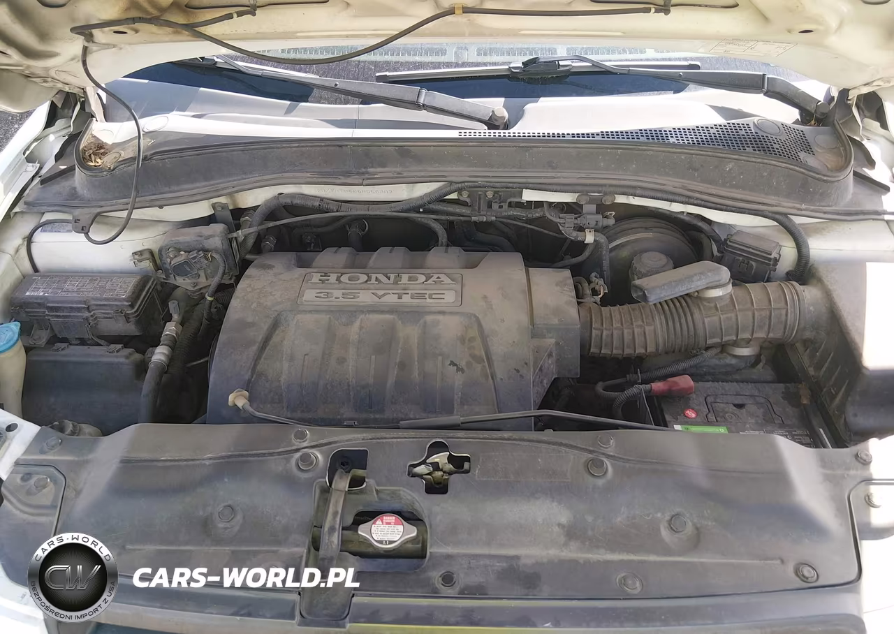 2005 Honda Pilot Ex VIN:2HKYF18485H556307 - 10