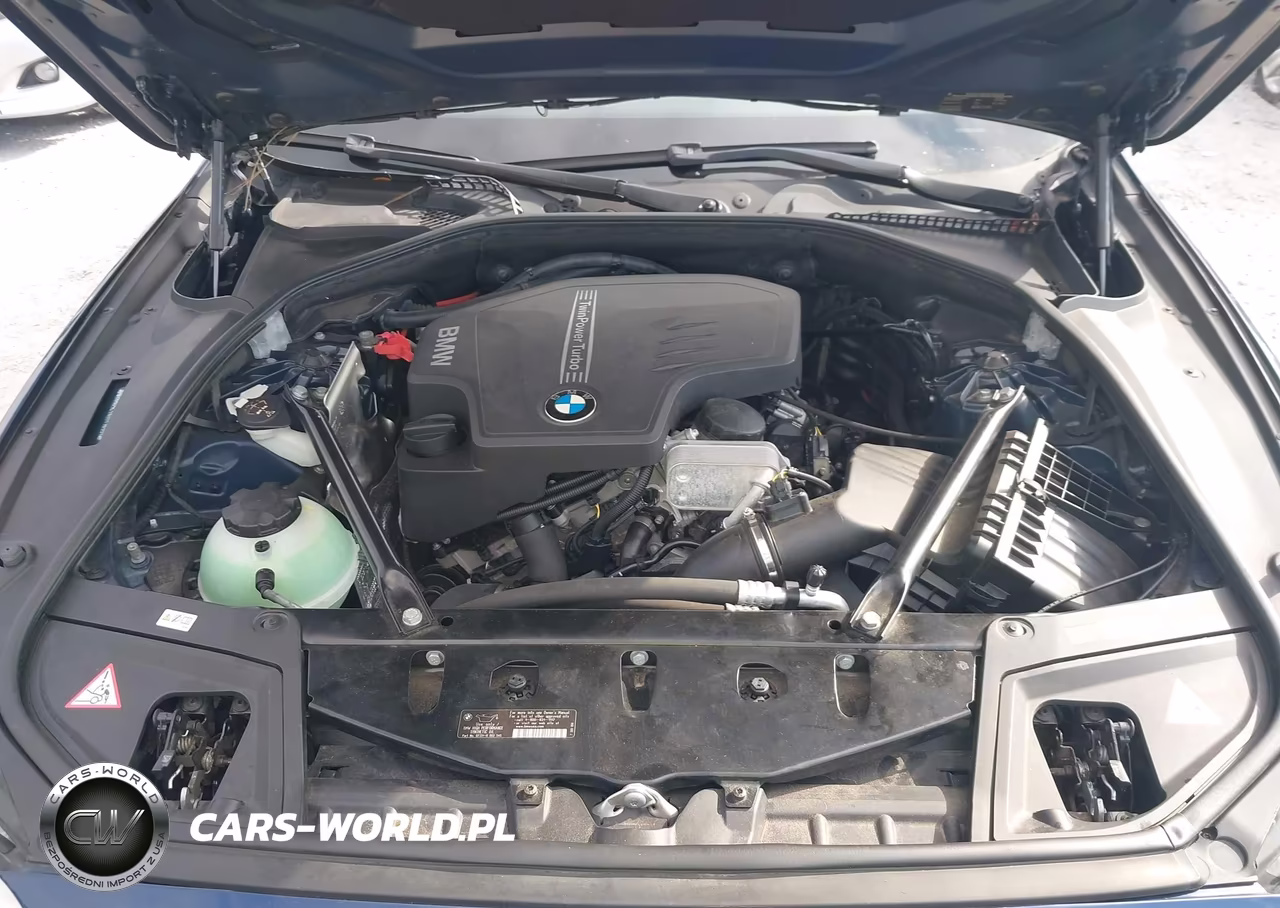 2013 BMW 528I VIN:WBAXG5C5XDDY36991 - 10