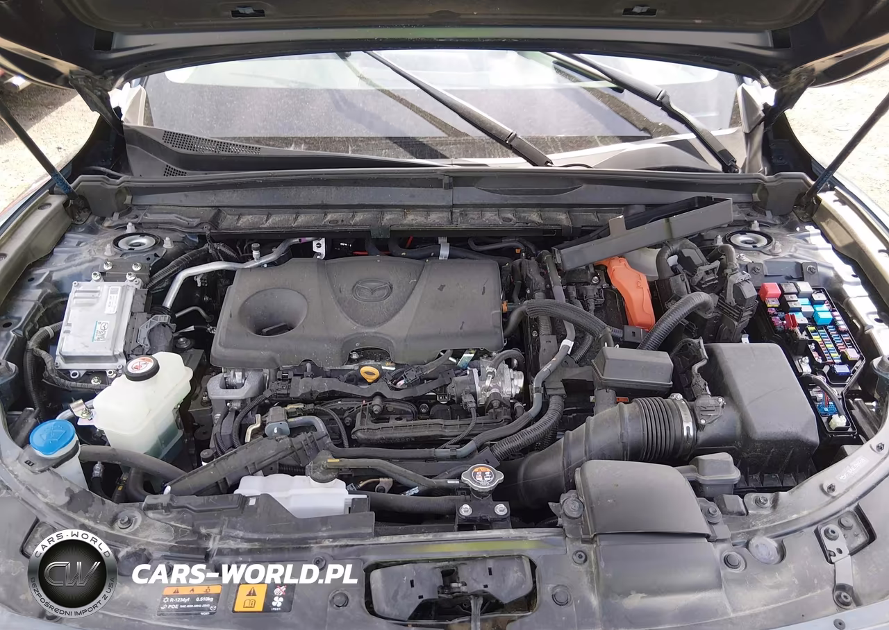2026 Mazda Cx-50 Hybrid Premium Plus VIN:7MMVAAEW4TN152263 - 10