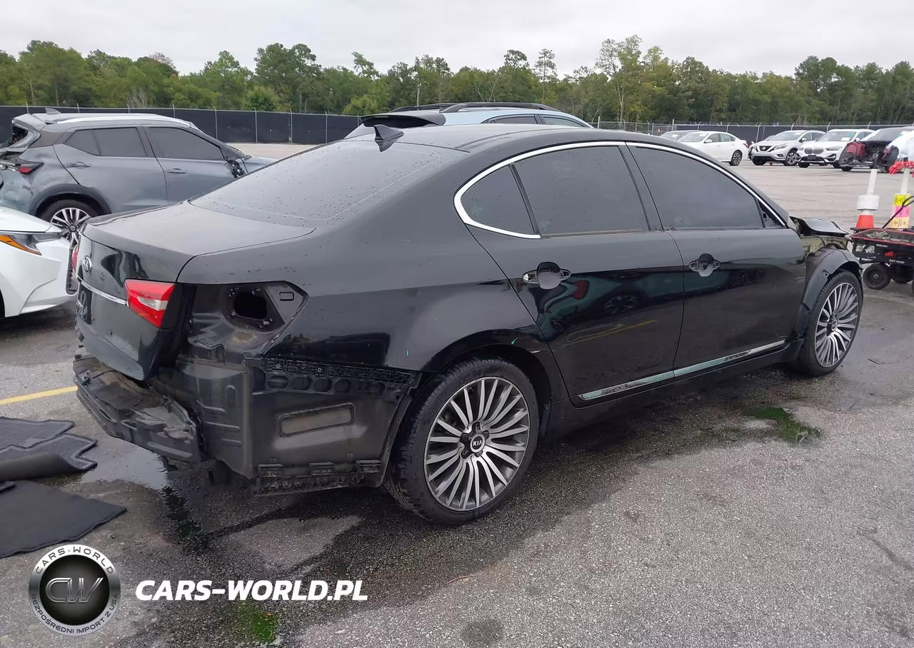 2014 Kia Cadenza Premium VIN:KNALN4D75E5134569 - 4