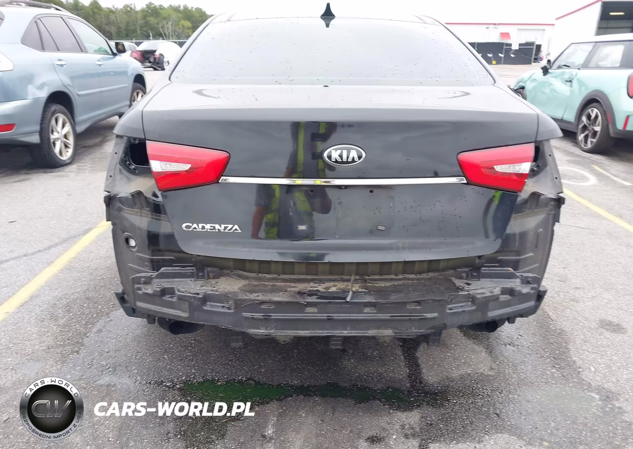 2014 Kia Cadenza Premium VIN:KNALN4D75E5134569 - 6