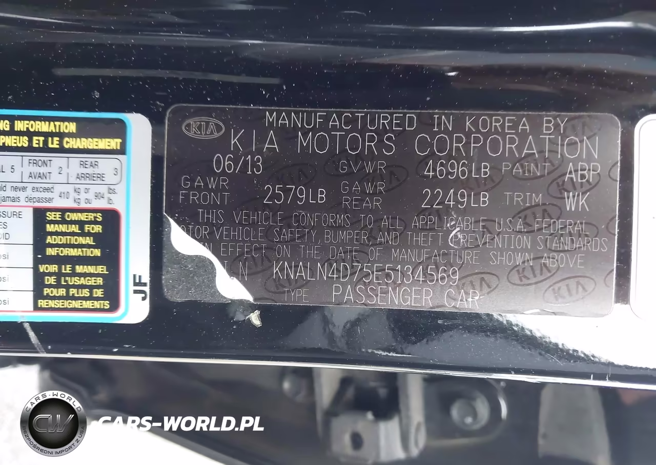2014 Kia Cadenza Premium VIN:KNALN4D75E5134569 - 9