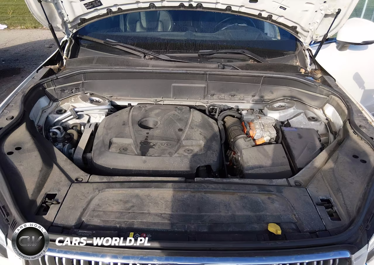 2017 Volvo Xc90 Hybrid T8 Excellence VIN:YV4BC0ZX5H1127300 - 10