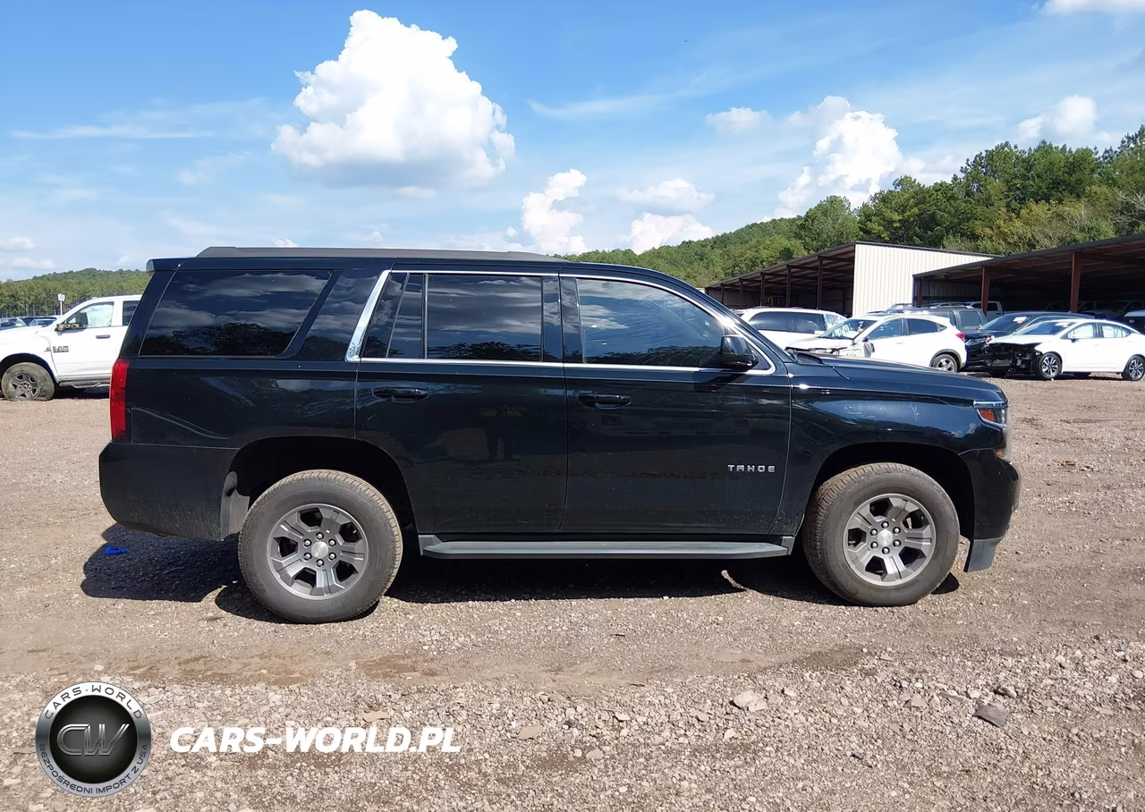 2019 Chevrolet Tahoe Ls VIN:1GNSKAEC2KR344947 - 13
