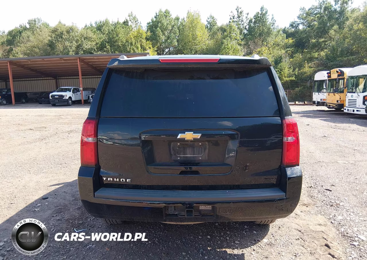 2019 Chevrolet Tahoe Ls VIN:1GNSKAEC2KR344947 - 16