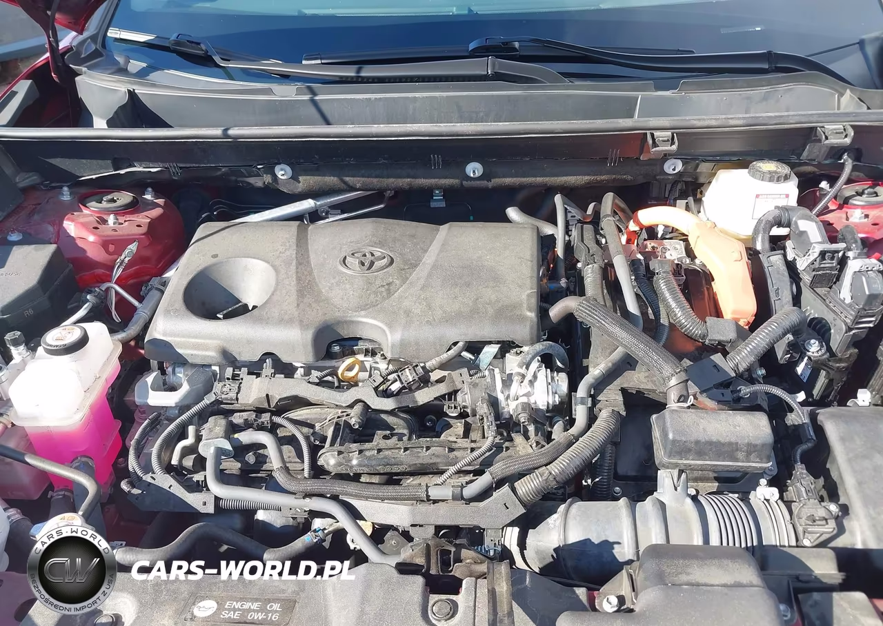2024 Toyota Rav4 Hybrid Xle VIN:4T3RWRFV1RU144694 - 10