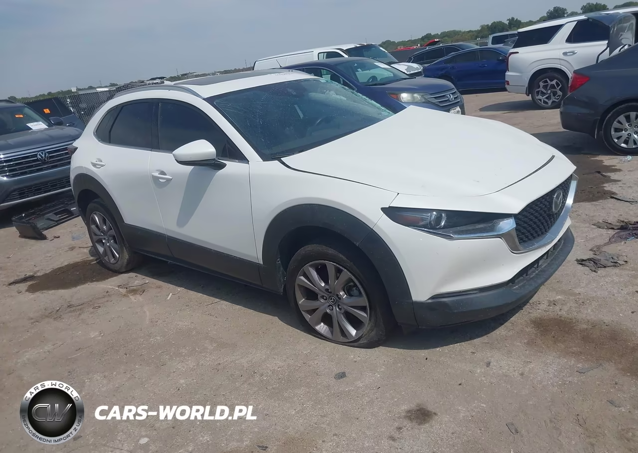 2021 Mazda Cx-30 Premium VIN:3MVDMBDL7MM309021 - 1