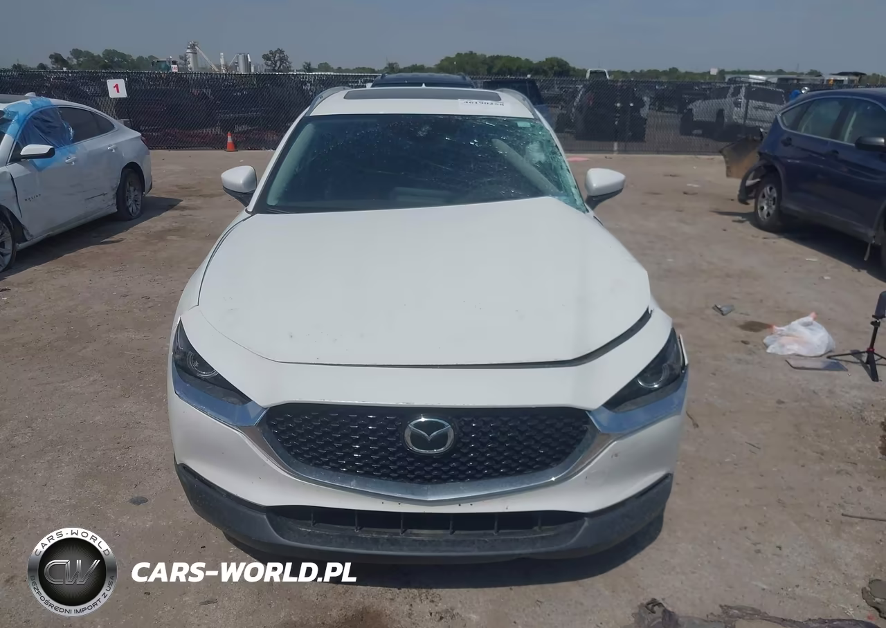 2021 Mazda Cx-30 Premium VIN:3MVDMBDL7MM309021 - 12