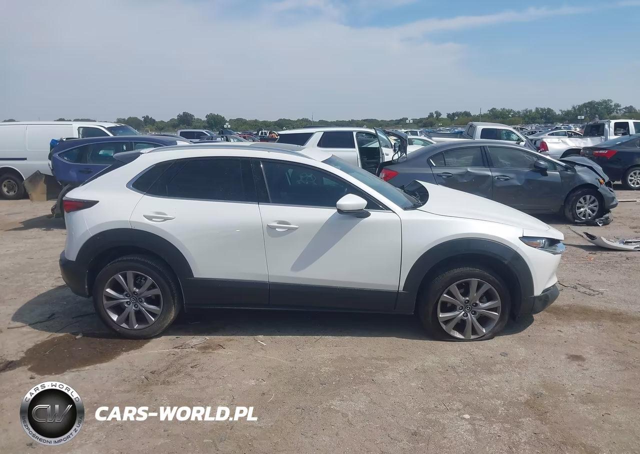 2021 Mazda Cx-30 Premium VIN:3MVDMBDL7MM309021 - 13