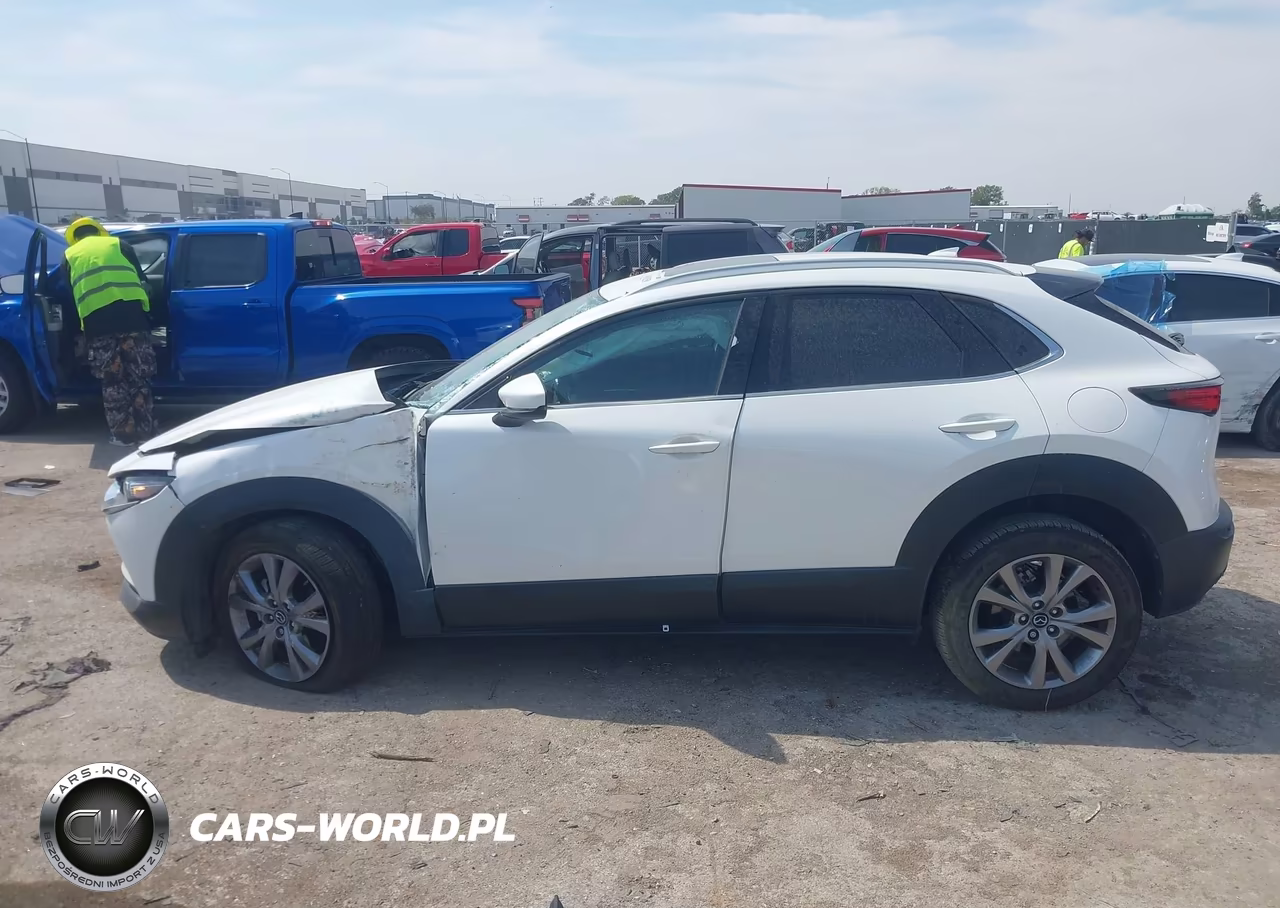 2021 Mazda Cx-30 Premium VIN:3MVDMBDL7MM309021 - 14