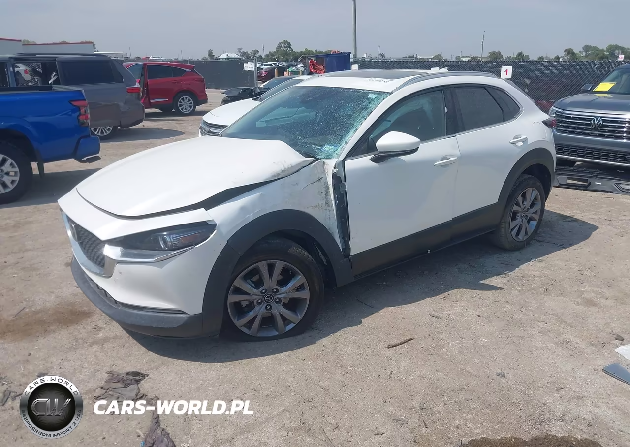 2021 Mazda Cx-30 Premium VIN:3MVDMBDL7MM309021 - 2