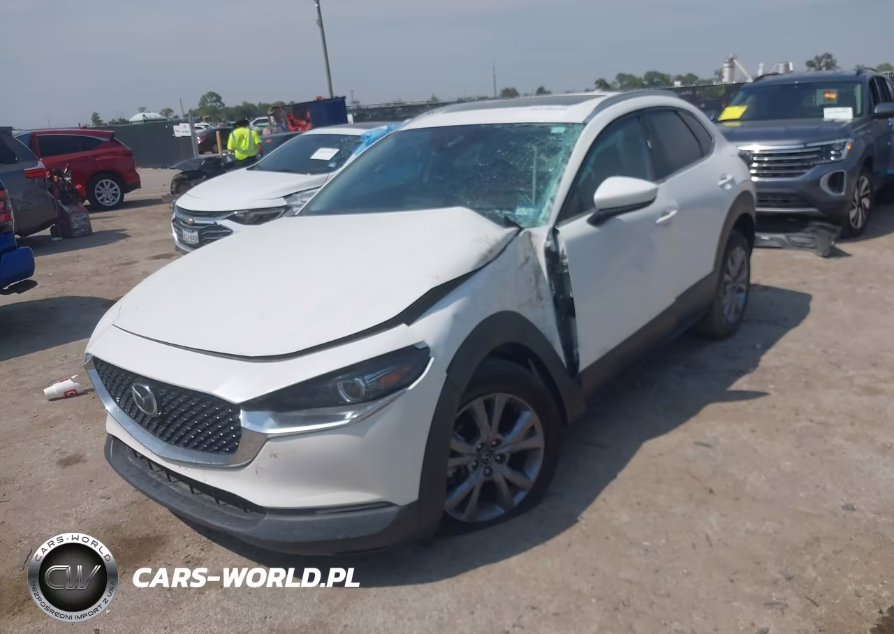 2021 Mazda Cx-30 Premium VIN:3MVDMBDL7MM309021 - 6