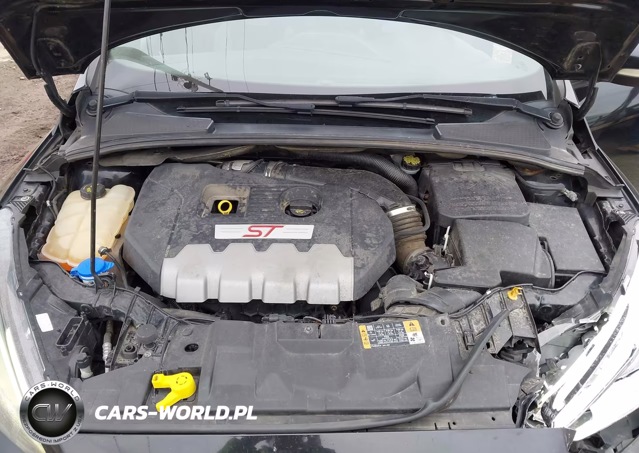 2016 Ford Focus St VIN:1FADP3L91GL358960 - 10