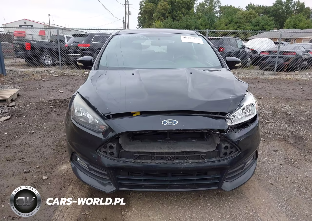 2016 Ford Focus St VIN:1FADP3L91GL358960 - 12