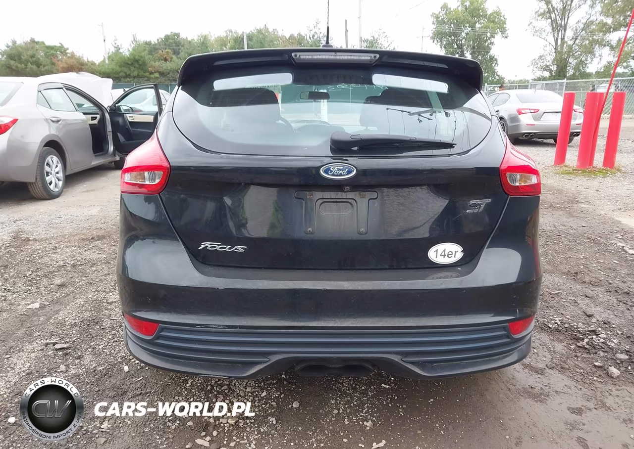 2016 Ford Focus St VIN:1FADP3L91GL358960 - 16