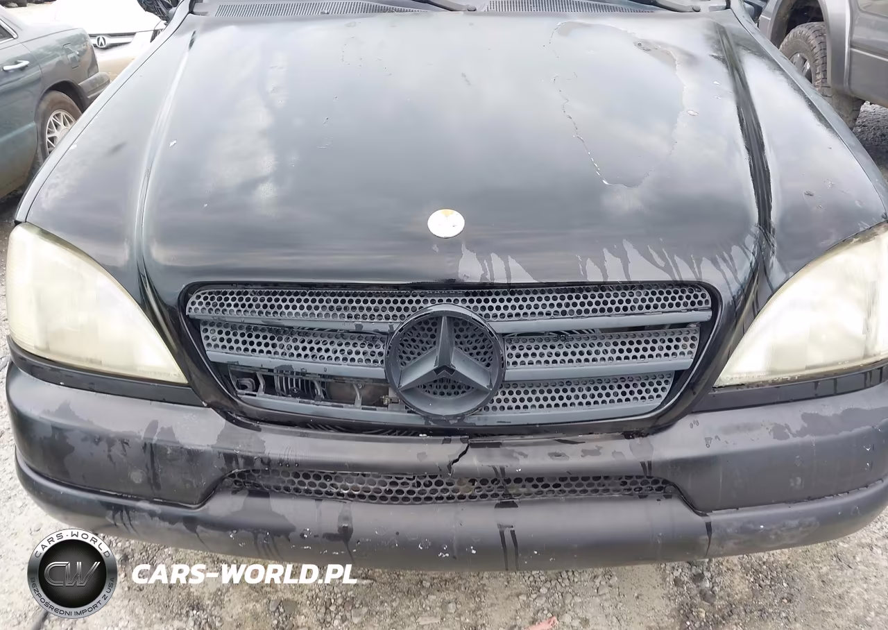 2001 Mercedes-Benz Ml 320 VIN:4JGAB54E61A260010 - 6