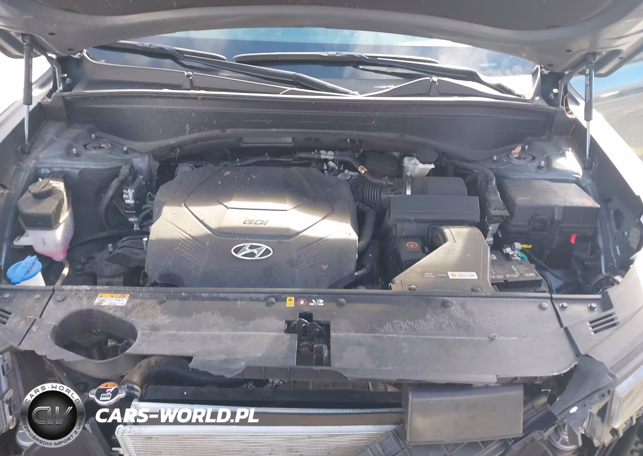 2025 Hyundai Palisade Sel VIN:KM8R24GE1SU810853 - 10