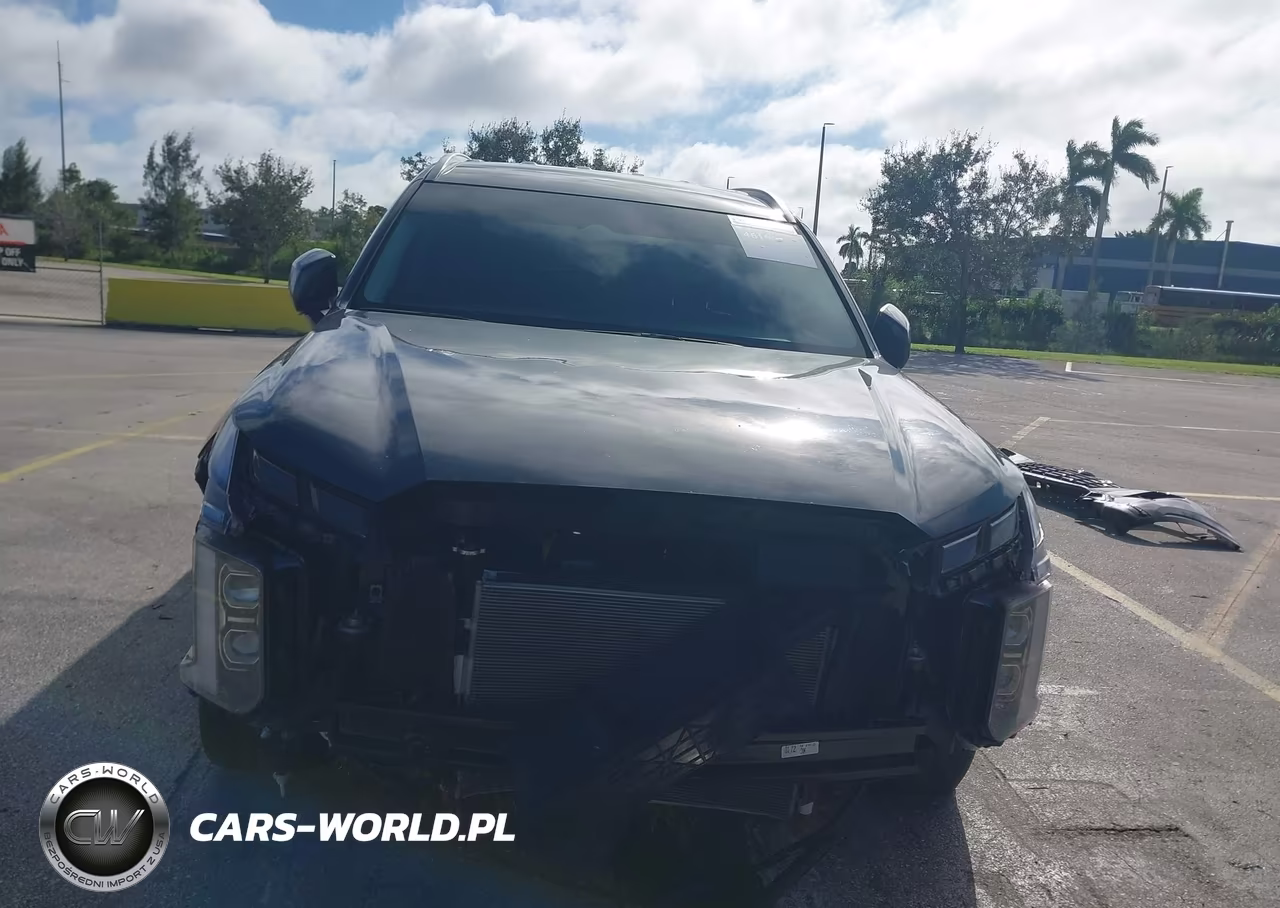 2025 Hyundai Palisade Sel VIN:KM8R24GE1SU810853 - 13