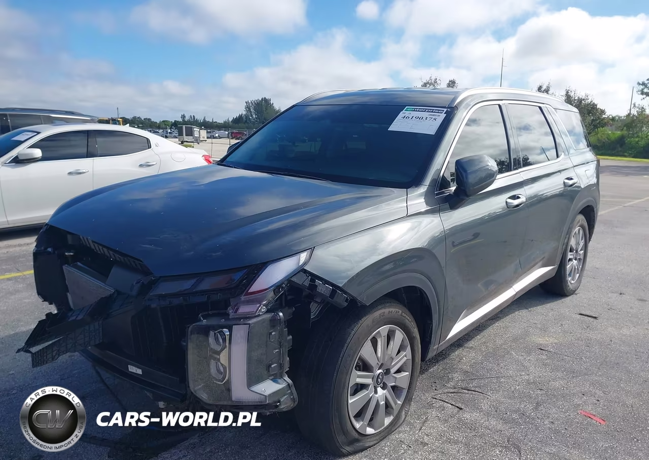 2025 Hyundai Palisade Sel VIN:KM8R24GE1SU810853 - 2