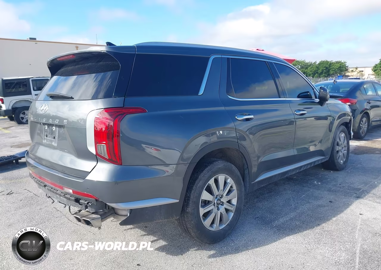 2025 Hyundai Palisade Sel VIN:KM8R24GE1SU810853 - 4