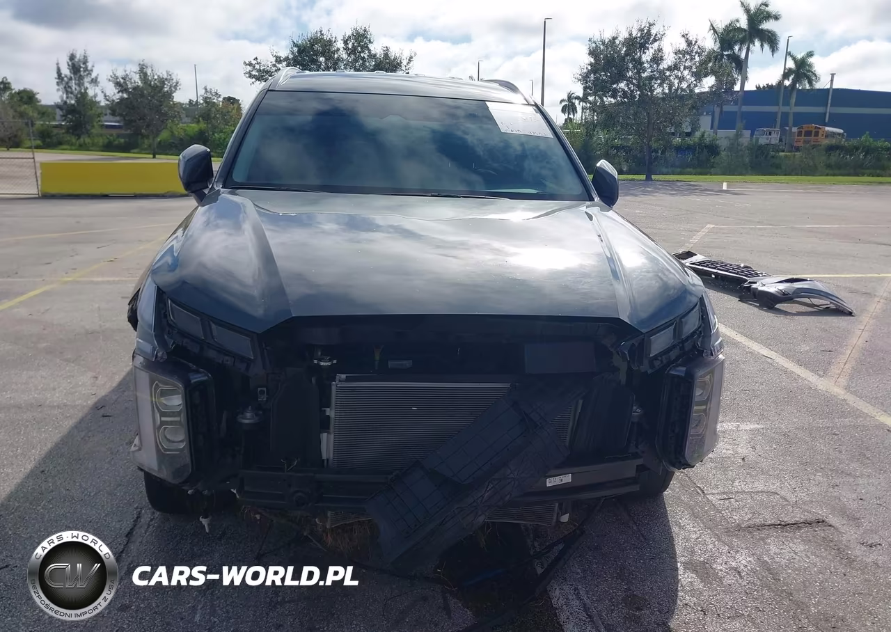 2025 Hyundai Palisade Sel VIN:KM8R24GE1SU810853 - 6